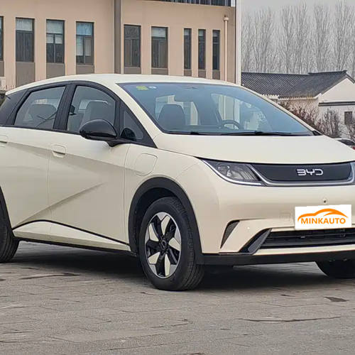 delf&iacute;n byd-11
