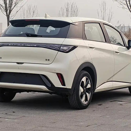 delf&iacute;n byd-9