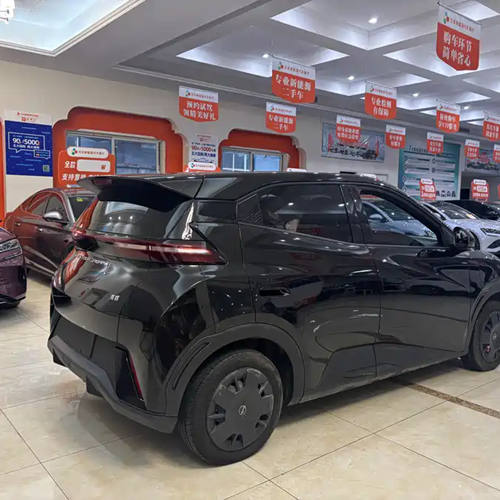gaviota byd-10