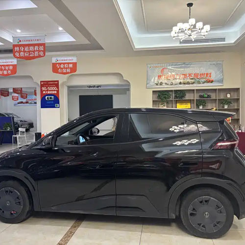 gaviota byd-8