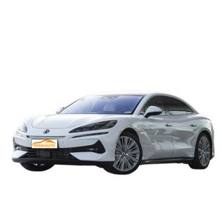 Denza z9 dmi