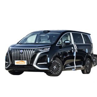 Denza d9 car electric 