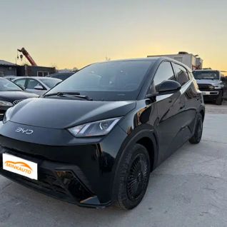 Gaviota byd 2025